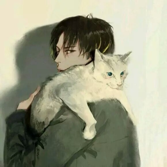 男头 猫