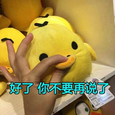 闭嘴小鸭子!【无水印】