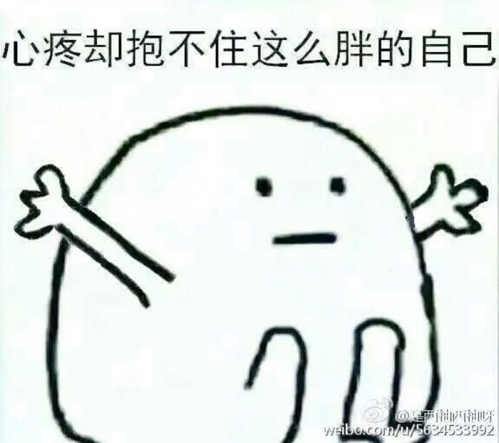 胖胖的自己