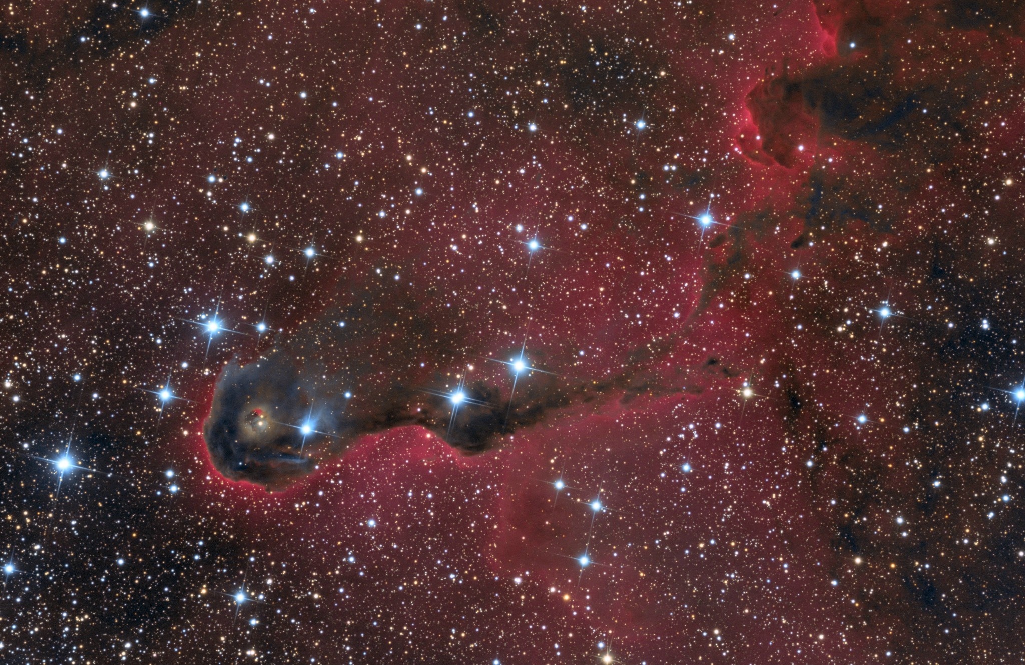 仙王座内的象鼻星云,由stephen leshin拍摄.