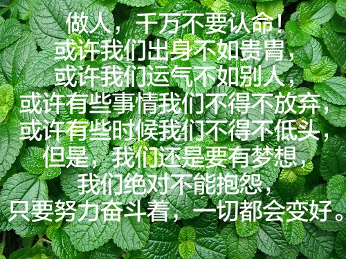 做人,千万不要认命,或许我们出身不如贵胄,或许我们运气不如别人,或许