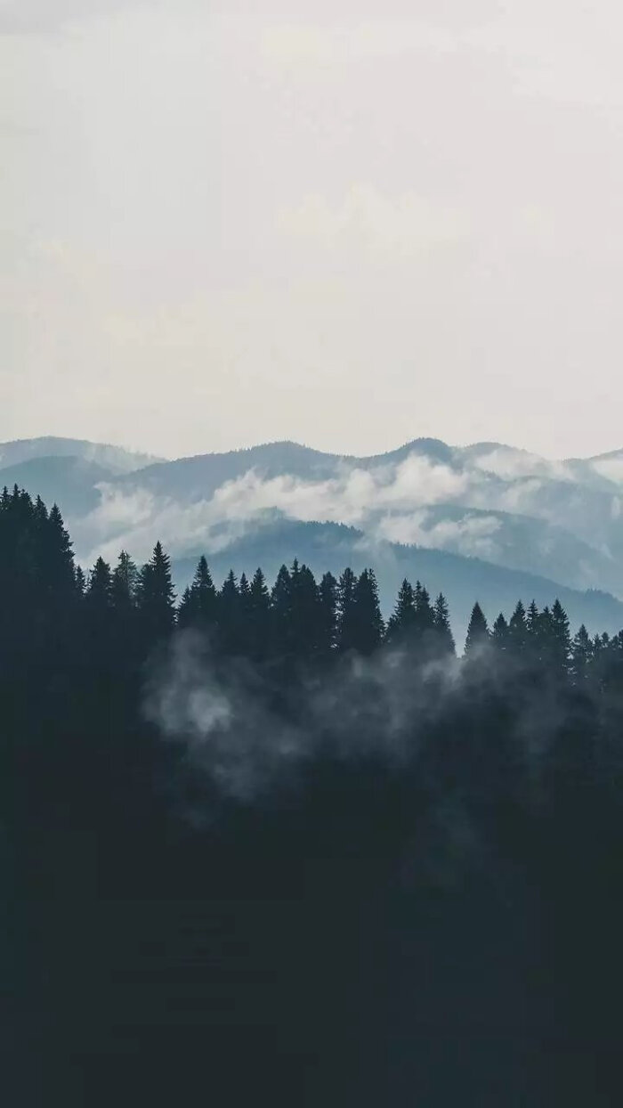 欧美风壁纸*〈握草!这么好看!不分享不能忍〉[图片来自空间]