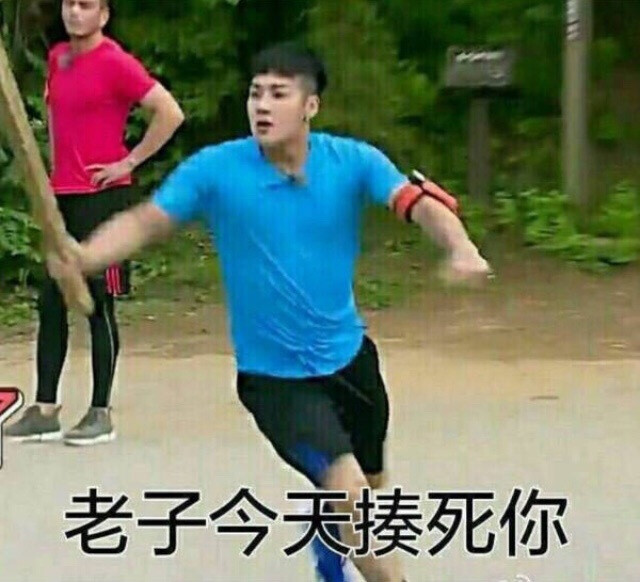 王嘎表情包 真爱粉可见