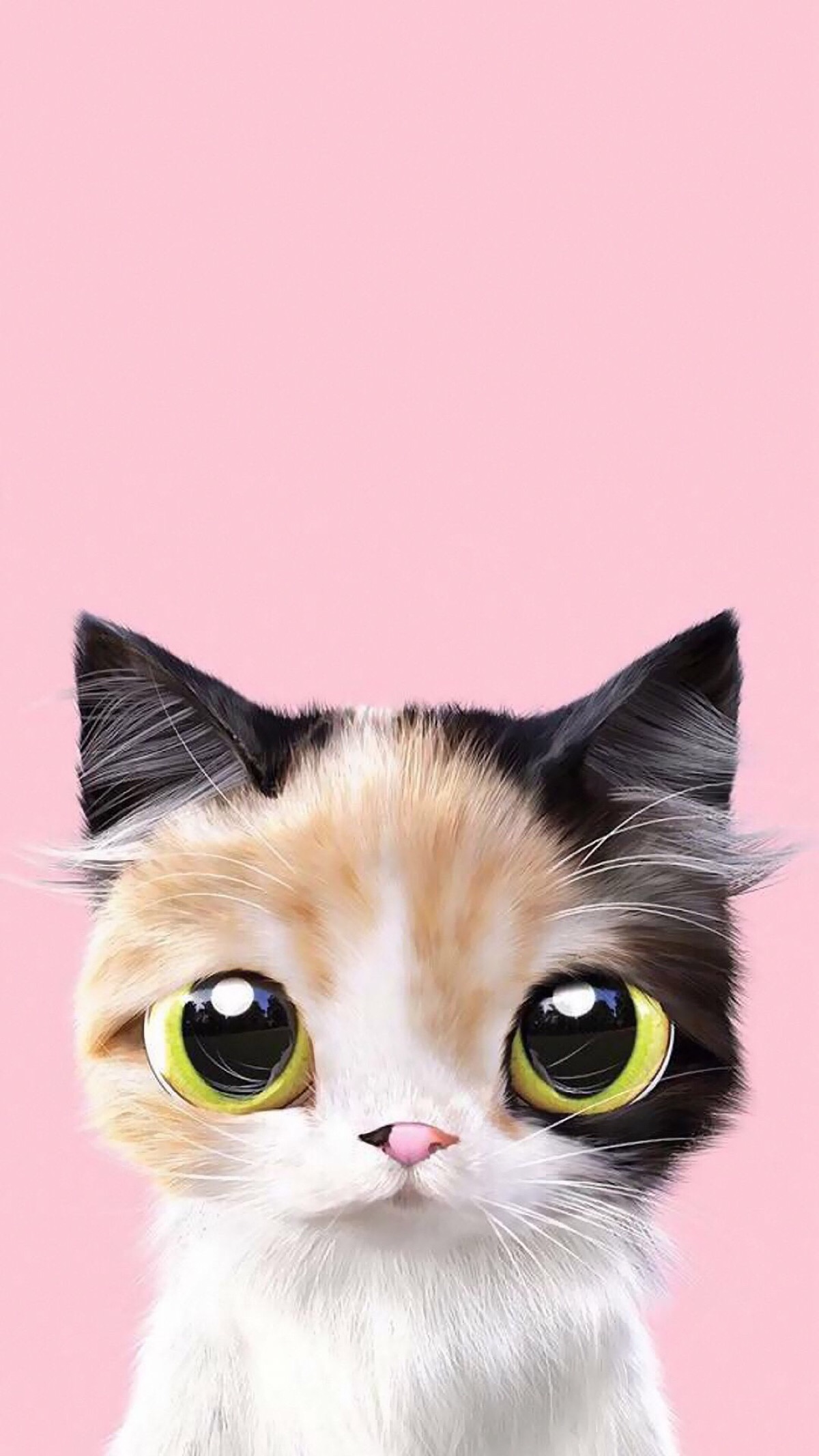 萌萌哒小猫咪