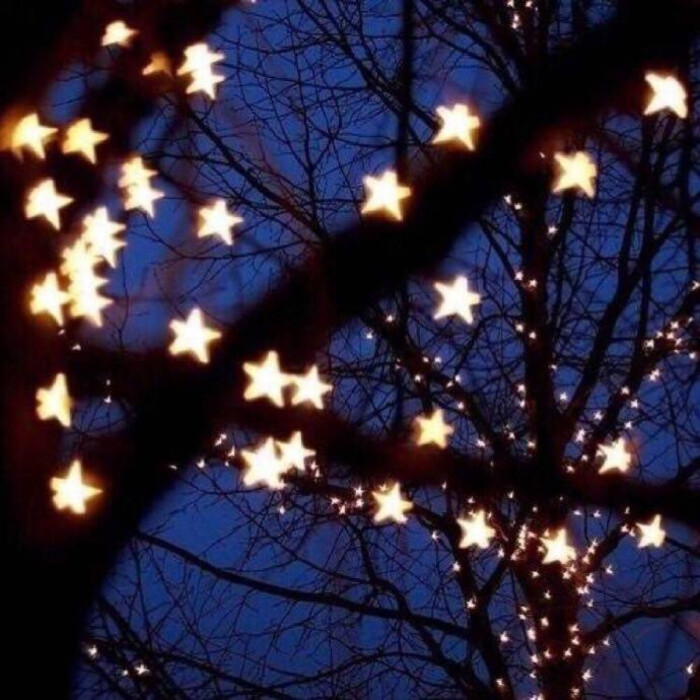 随手拍 手机摄影 夜间挂在树上的小星星