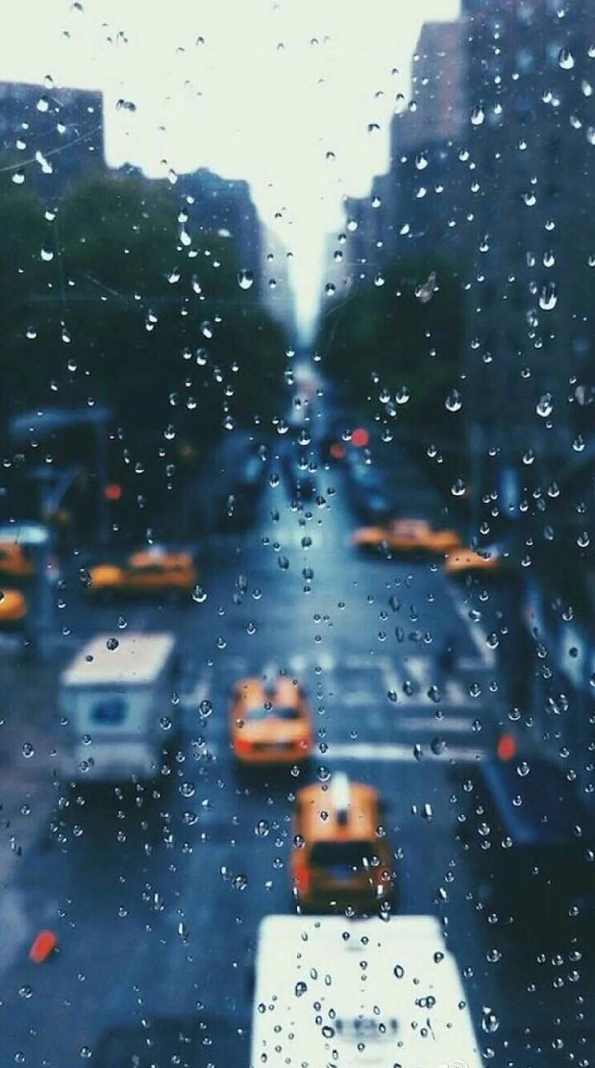 壁纸 下雨天的城市
