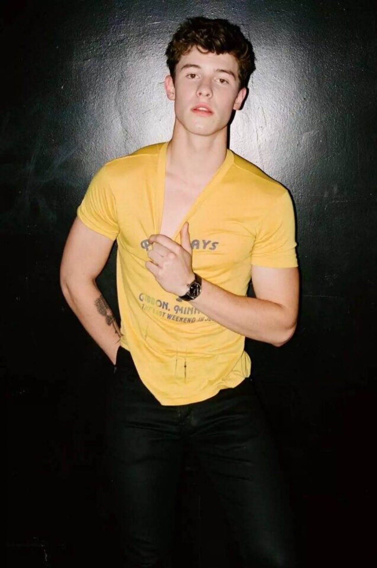 shawn mendes