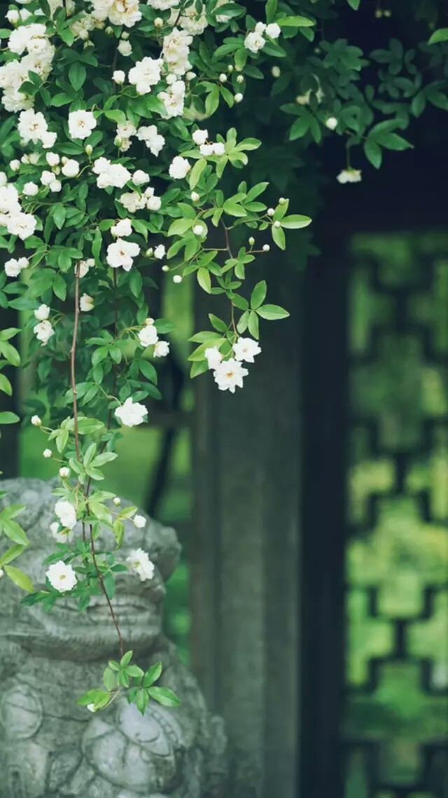 小清新风景锁屏壁纸