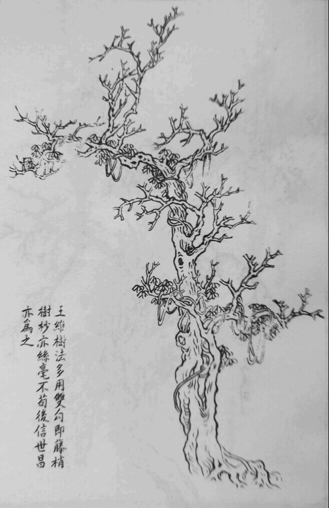【国画】 树