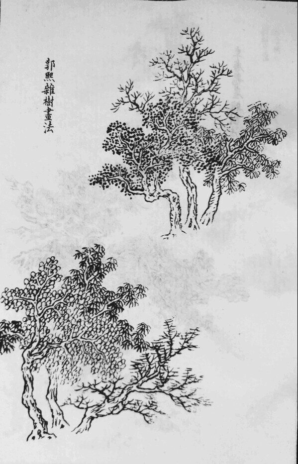 【国画】 树画法