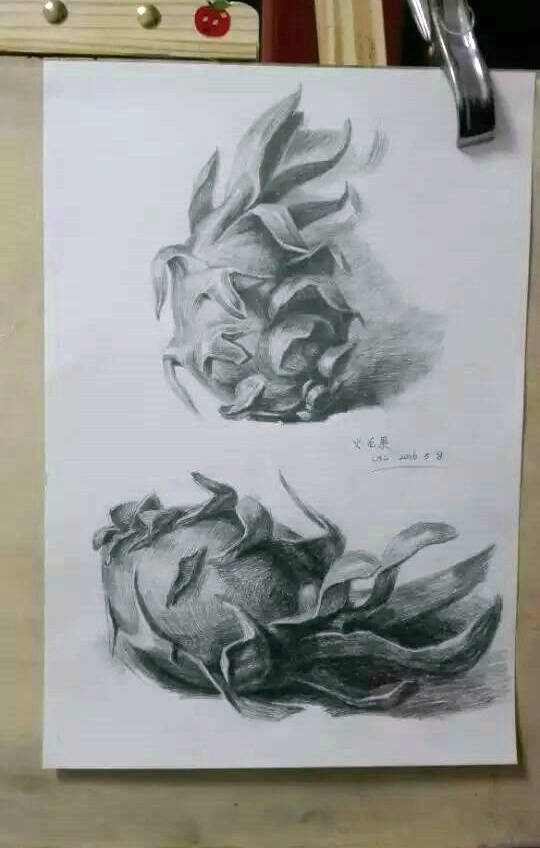 素描火龙果