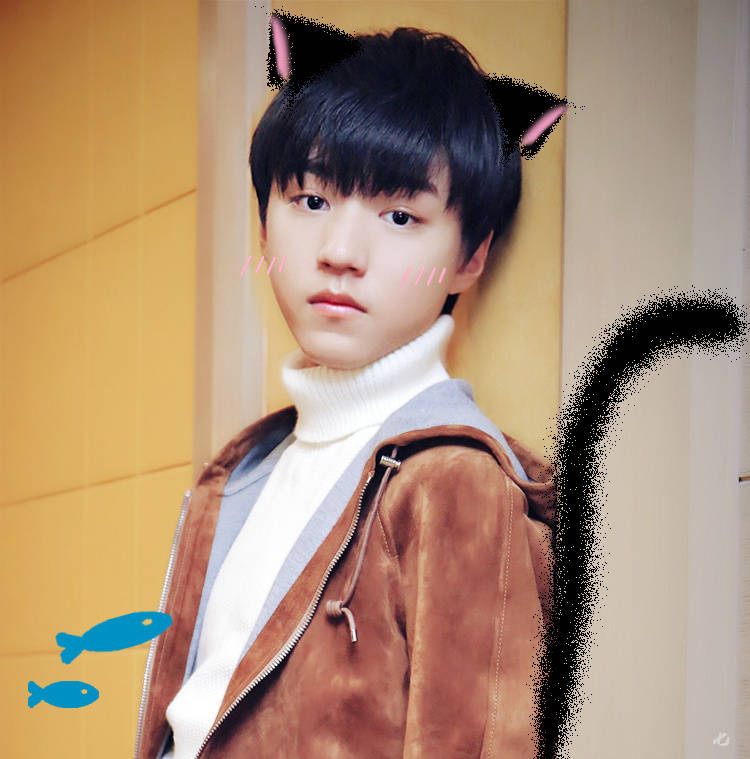 王俊凯#tfboys王俊凯#可爱饭制