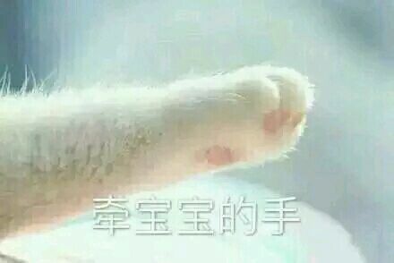 【表情包】【牵手】