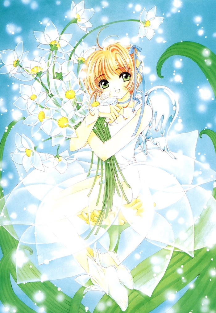 木之本樱,是日本动漫《魔卡少女樱》中的主角.