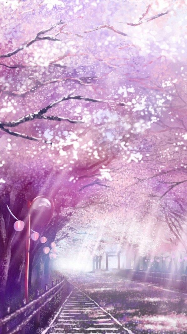 樱花,粉色,清新唯美意境,插画壁纸