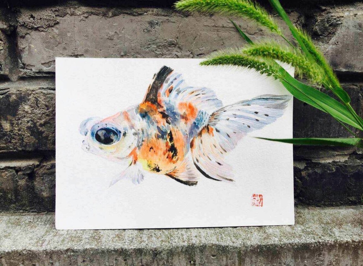 金鱼 鱼 水彩 手绘
