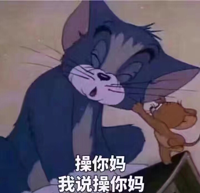 猫和老鼠