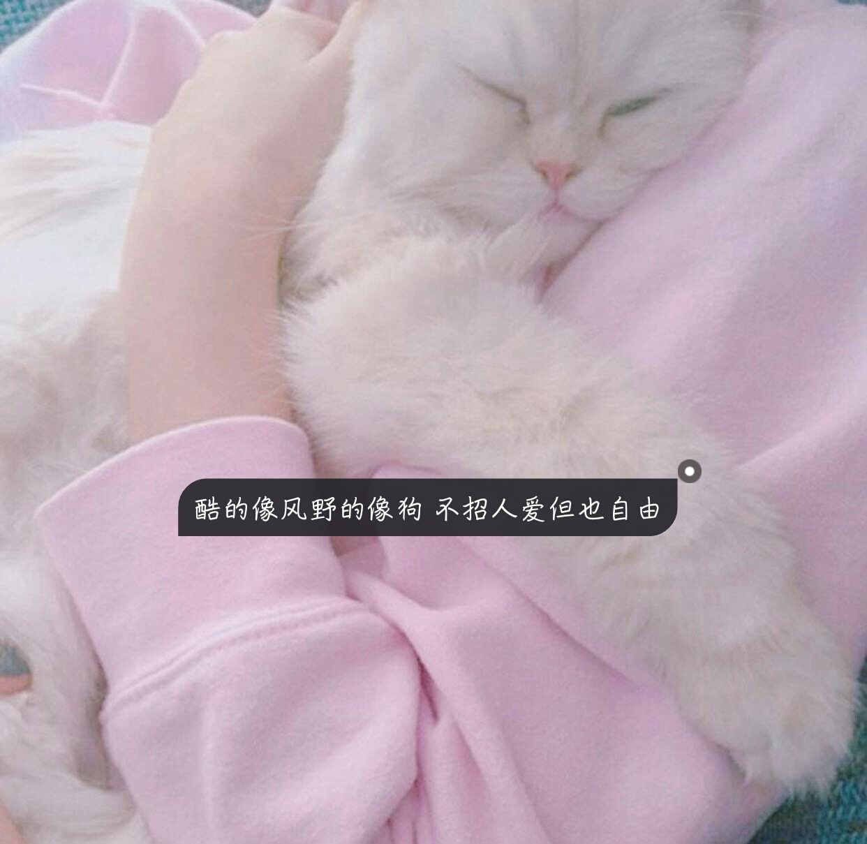 文字 头像 背景 仙女 可爱 "亲亲抱抱举高高!