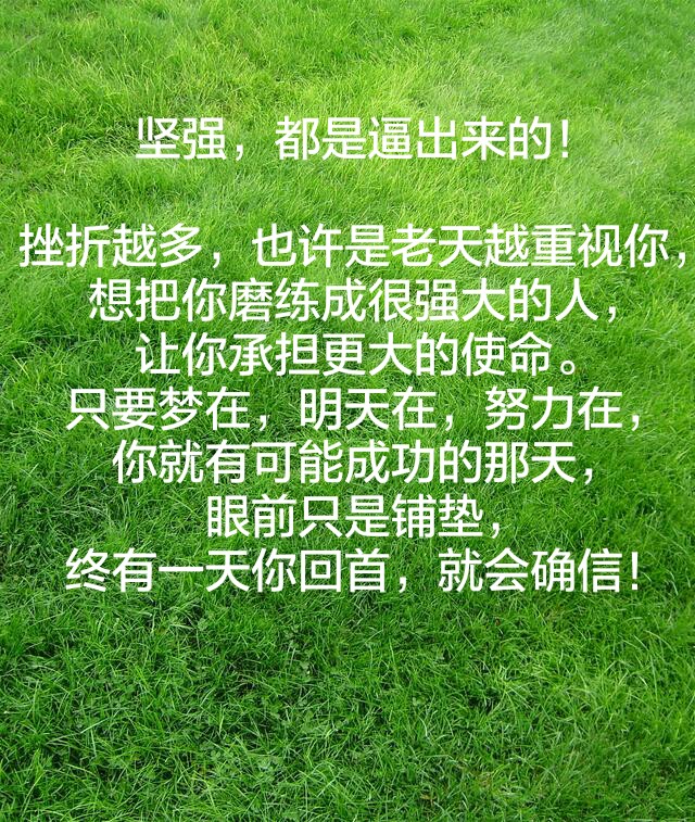 人为什么在挫折后会变的更加坚强?