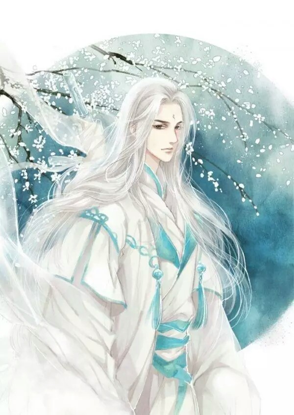 古风美男白发