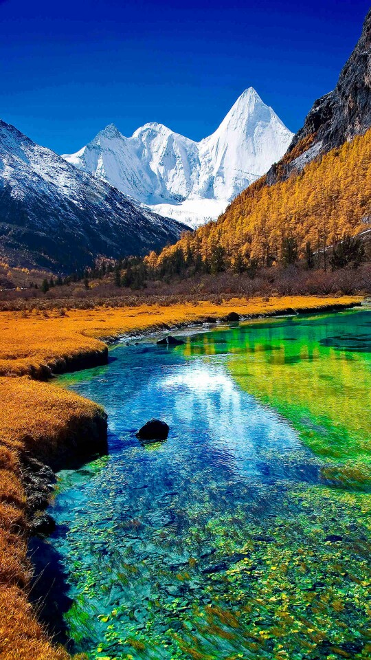 远处的雪山,漫山遍野的黄,与蓝绿分明的湖水,构成了一幅色彩丰富的