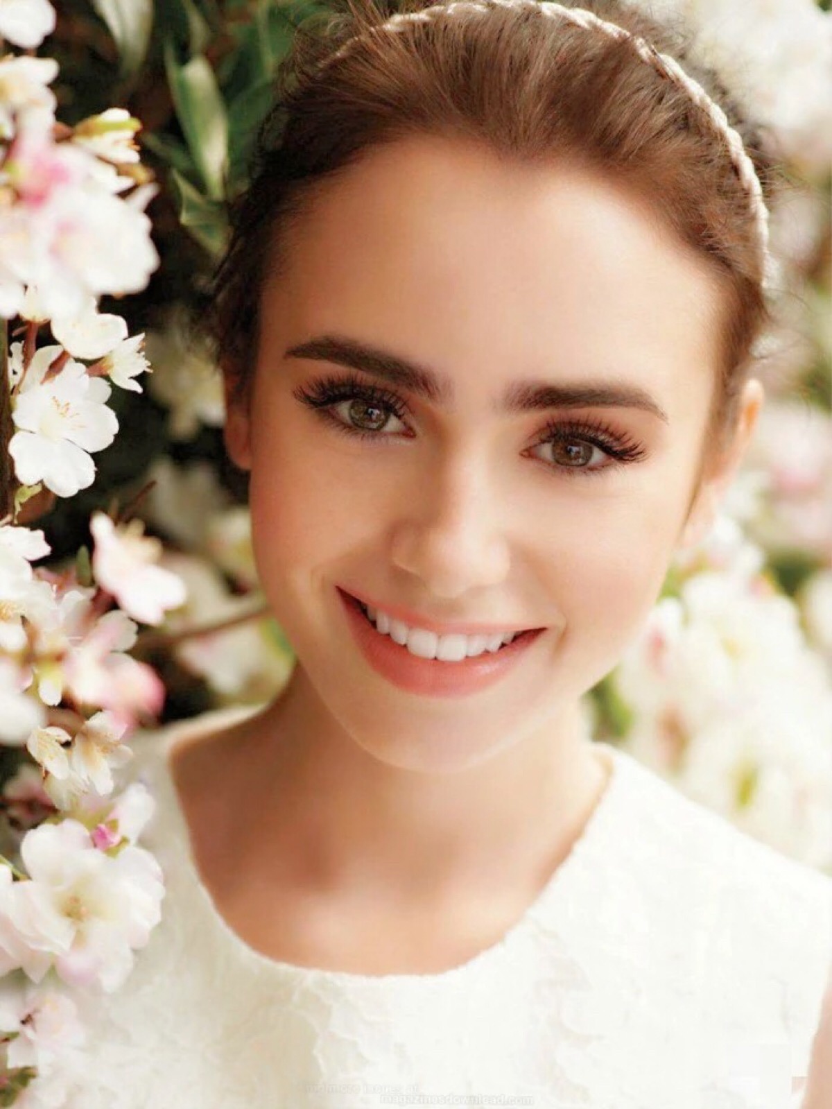 lily collins