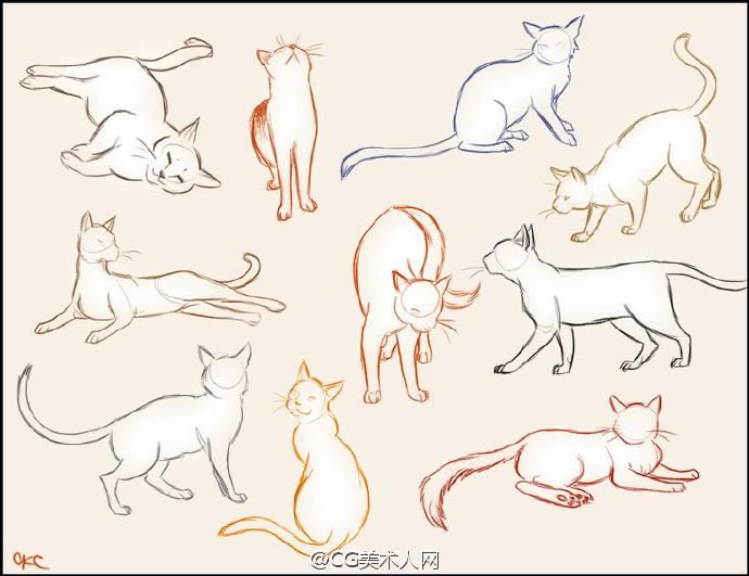 绘画参考#猫的动态画法参考