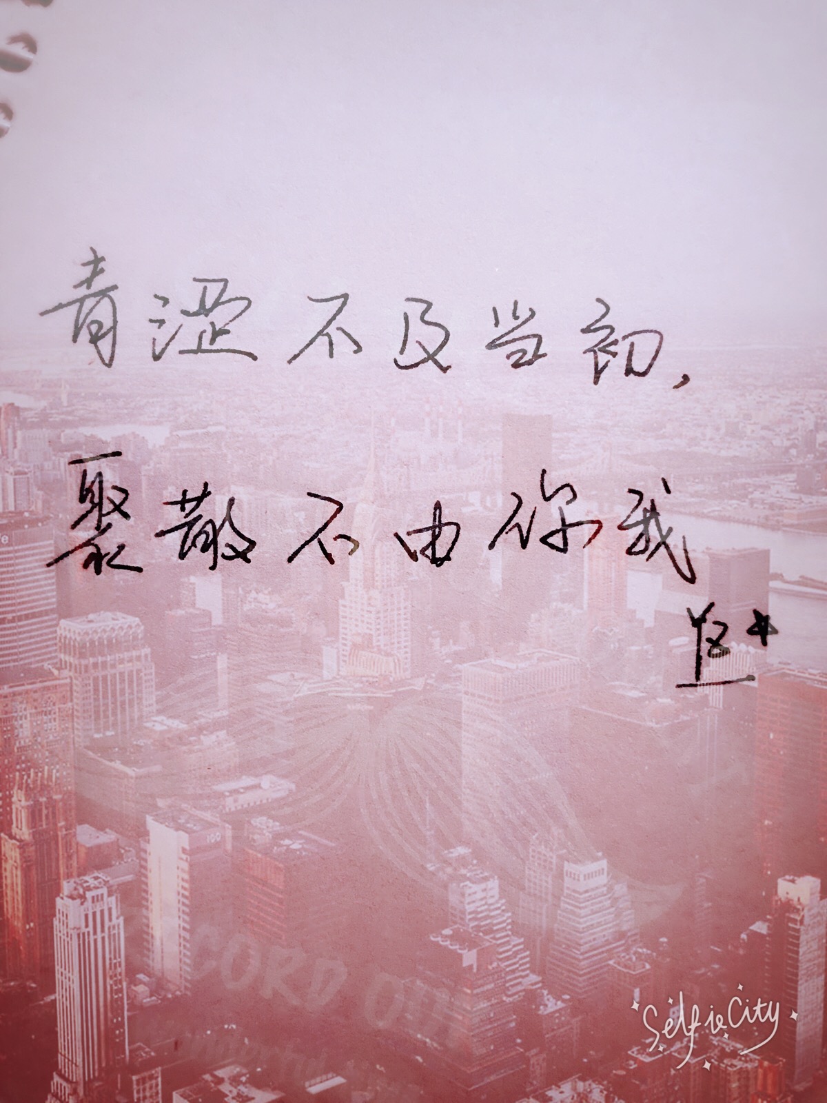 文字控,手写钢笔字