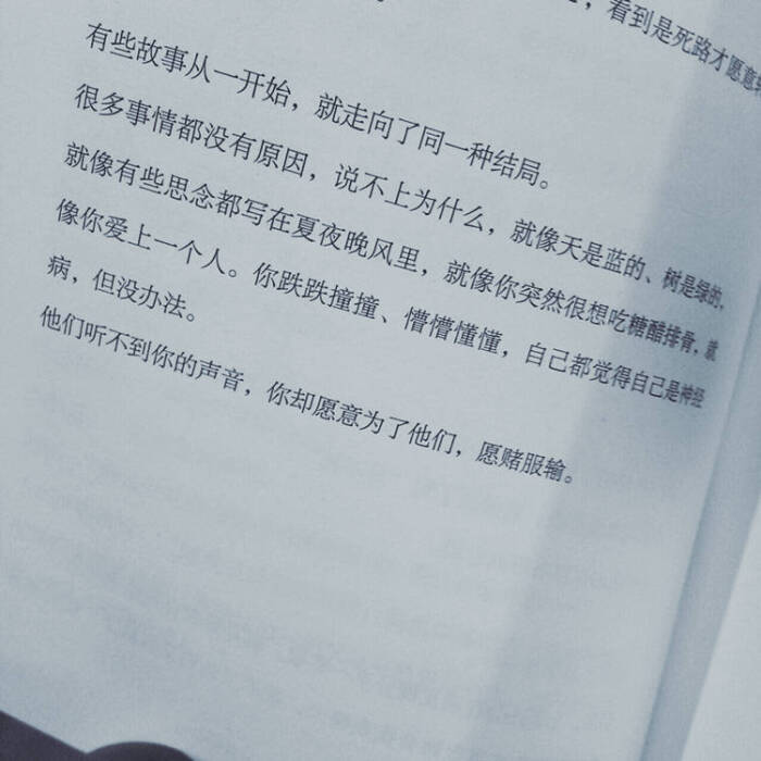 我喜欢你愿赌服输