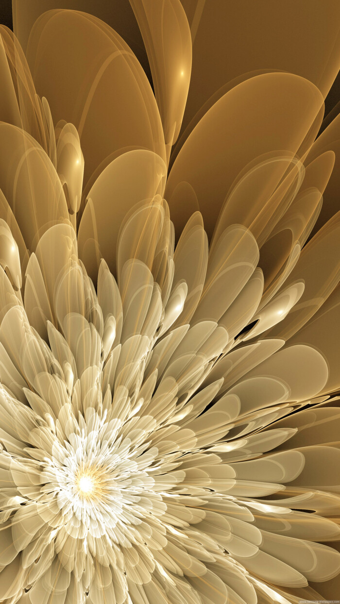 三星手机壁纸【1440x2560】samsung galaxy s6 金色 白色 花 抽象