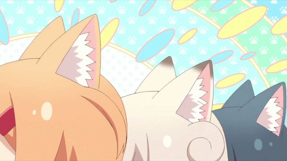 【茶】出处:猫咪日常