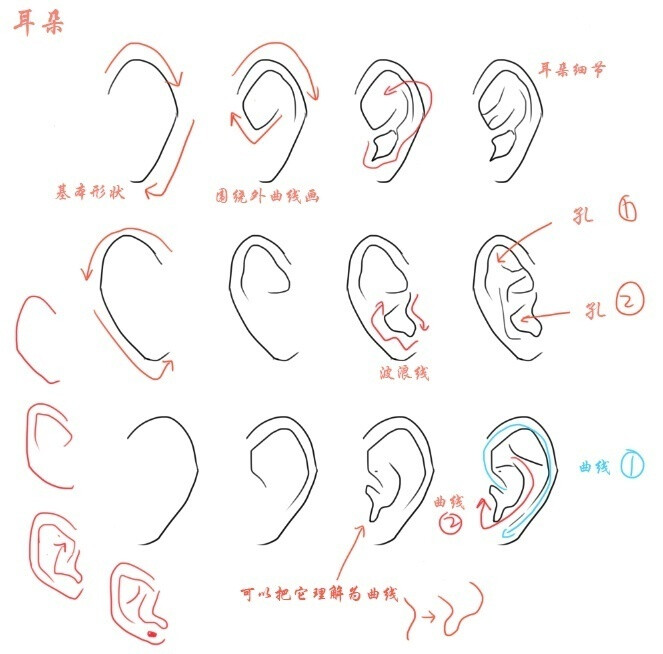 绘画学习# 有关耳朵与鼻子的绘制画法.