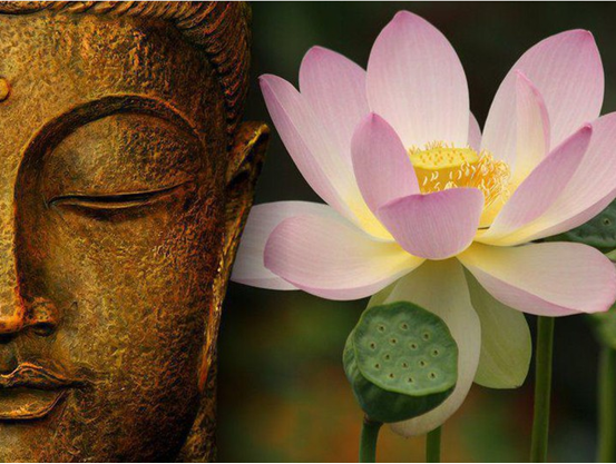 佛教的人生观,简单的说就是「你是你自己的实现」.