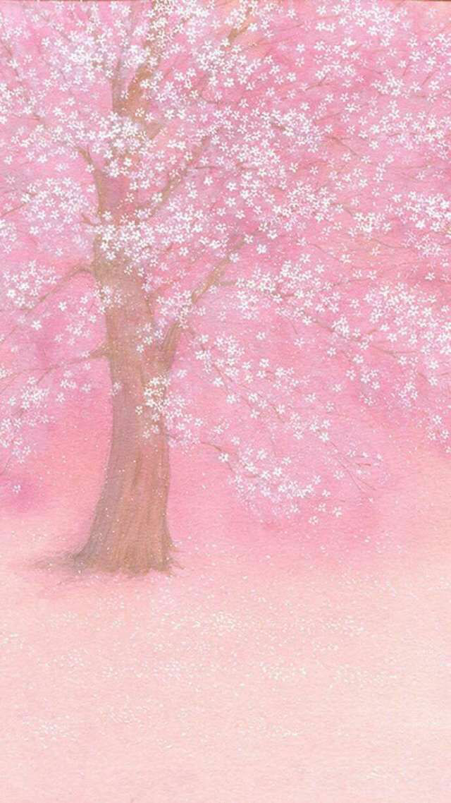 [小清新壁纸]樱花;粉色