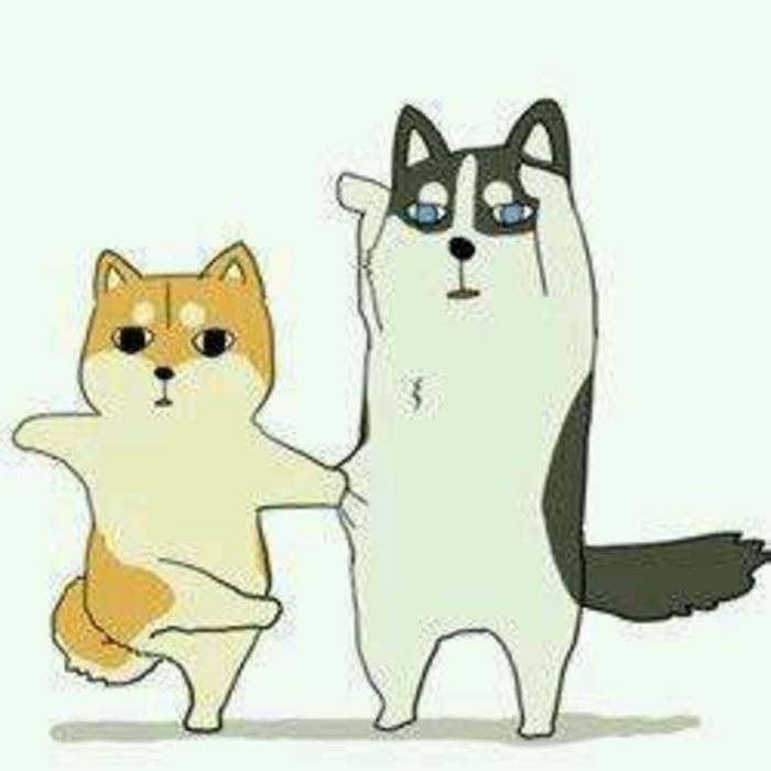 神烦狗 哈士奇 头像 情侣 卡通 可爱 哈尼,改换头