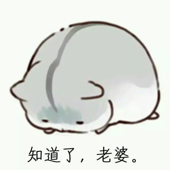 逗比 可爱 有趣 撩汉 撩妹 情侣专用 污表情包 纯文字 斗图专用