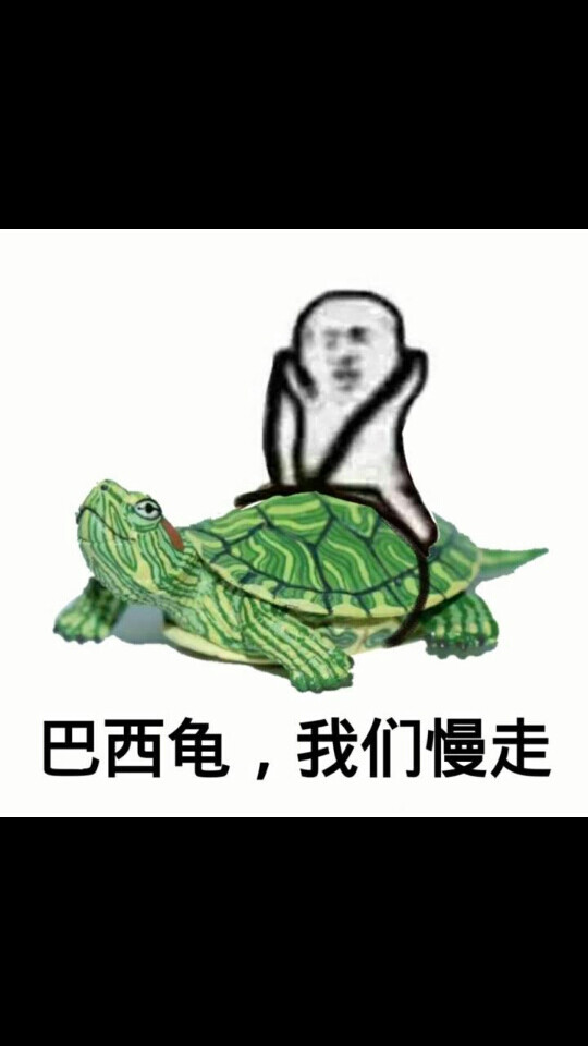 皮皮虾.表情包