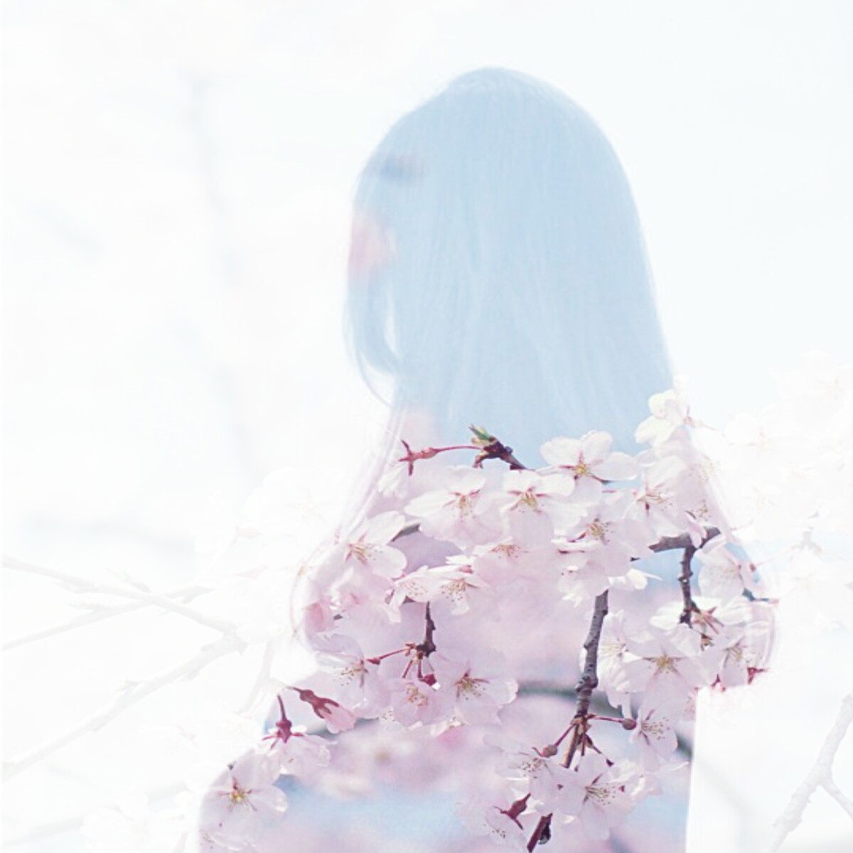 双重曝光,女生头像,情侣头像,闺蜜头像.鲜花人物壁纸.