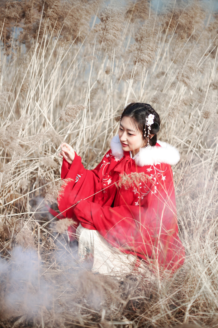 蒹葭苍苍,白露为霜。