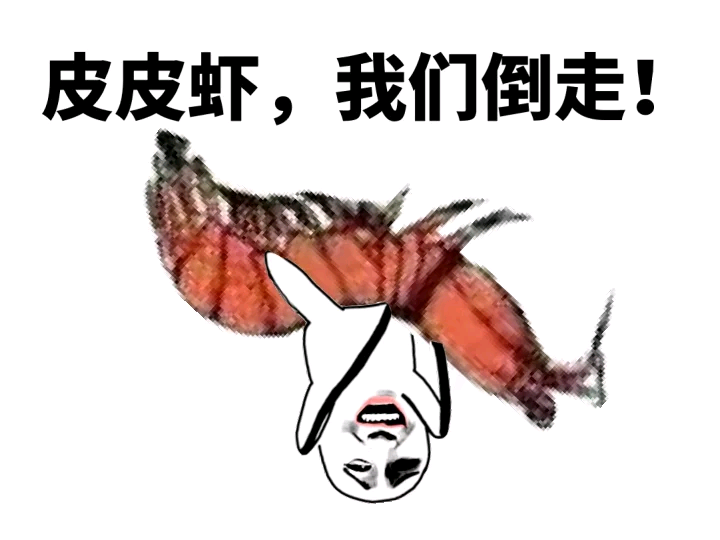 皮皮虾系列