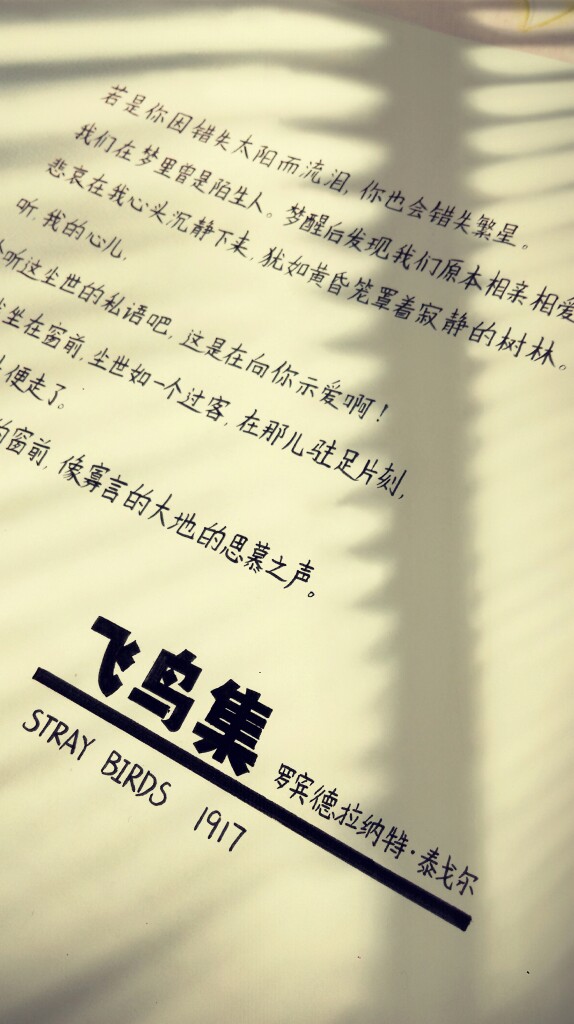 寒假作业#随手拿了本泰戈尔诗集(> )练练渣字