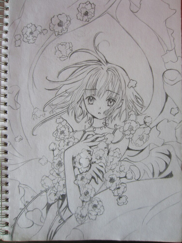 翼年代记~小樱-堆糖,美好生活研究所