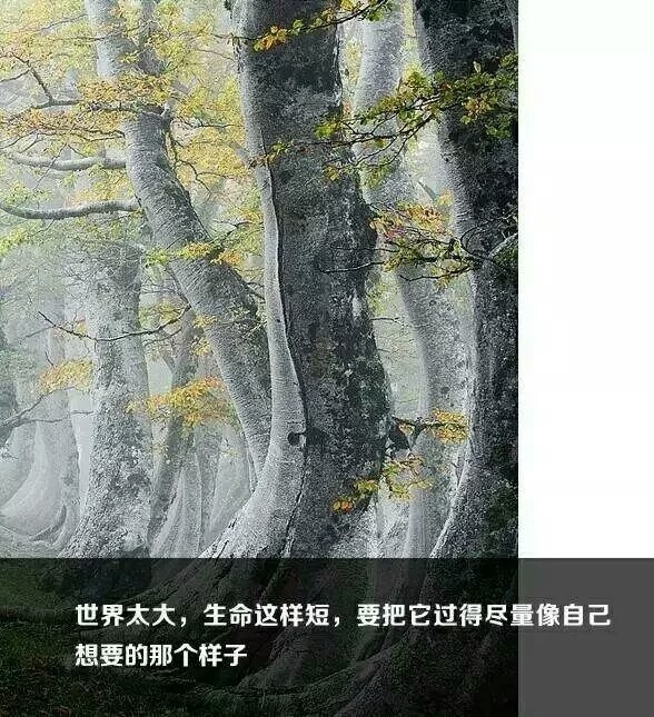 不要在意别人的看法