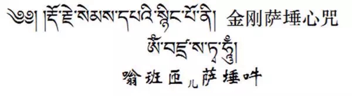 心,一边念金刚萨埵心咒"嗡班匝萨埵吽",一边想着金刚萨埵佛尊降下甘露