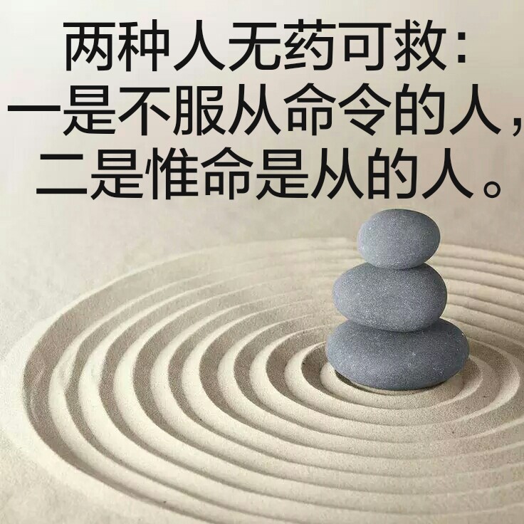 两种人无药可救:一是不服从命令的人,二是惟命是从的人.