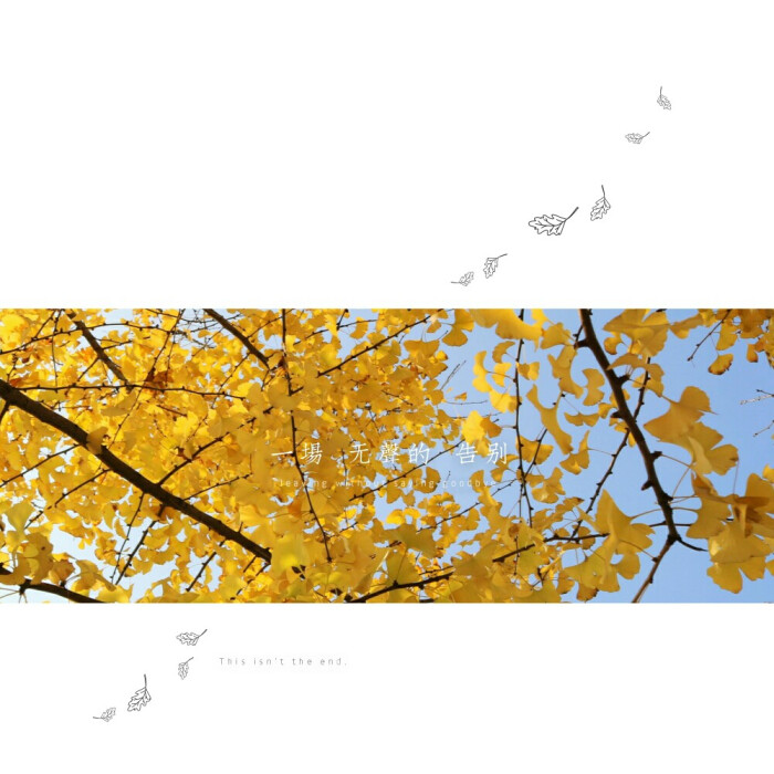 原创 银杏叶 秋天 文字 壁纸 头像 屏锁-堆糖,美