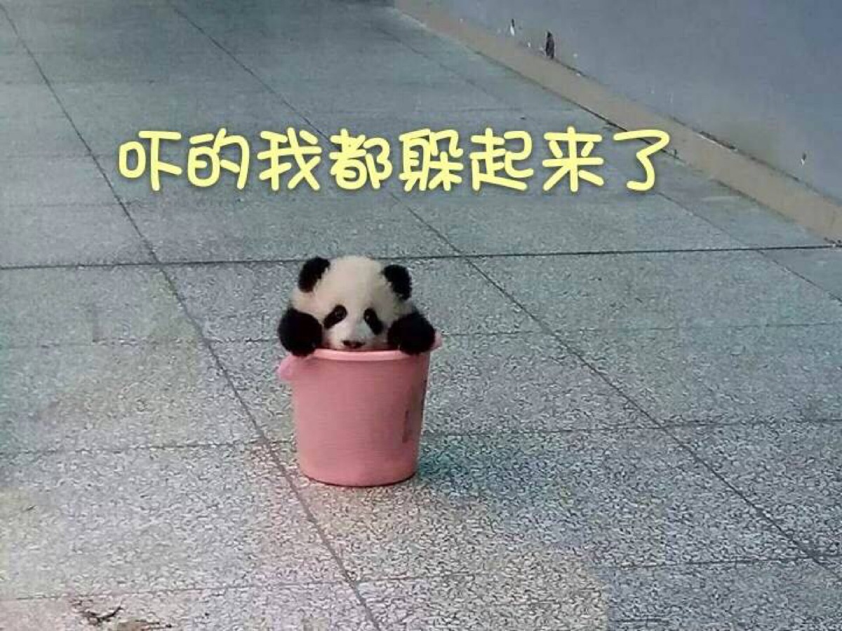 滚滚表情包