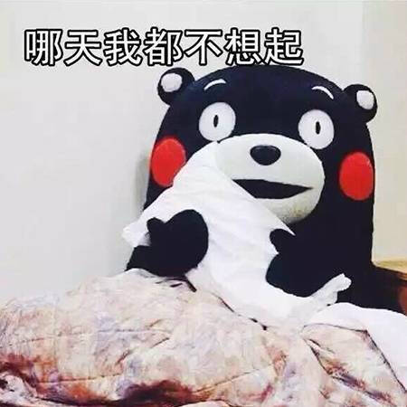 熊本熊 不想起 起床 表情包 搞笑 斗图 可爱 逗比 表情 撕逼 聊天表情