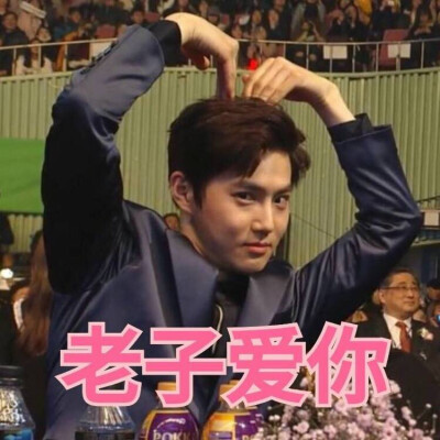 exo表情包 金俊勉 suho