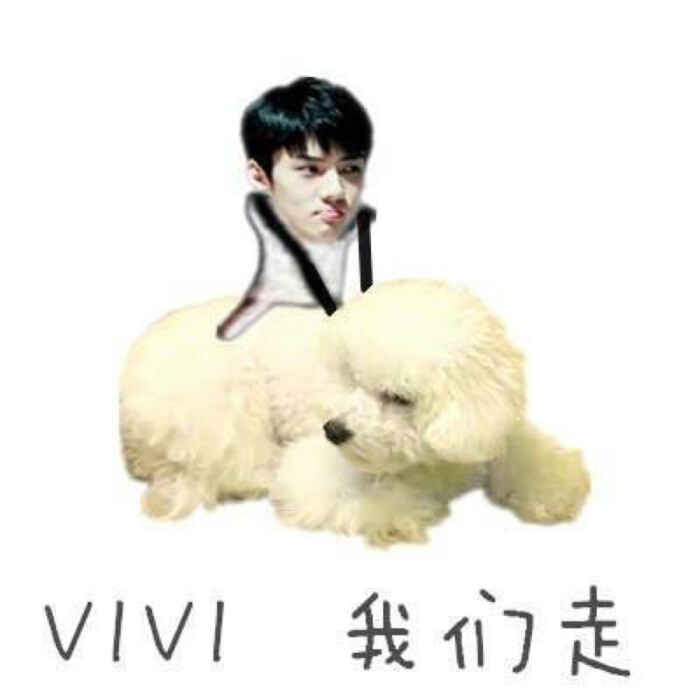 exo表情包 吴世勋 sehun vivi